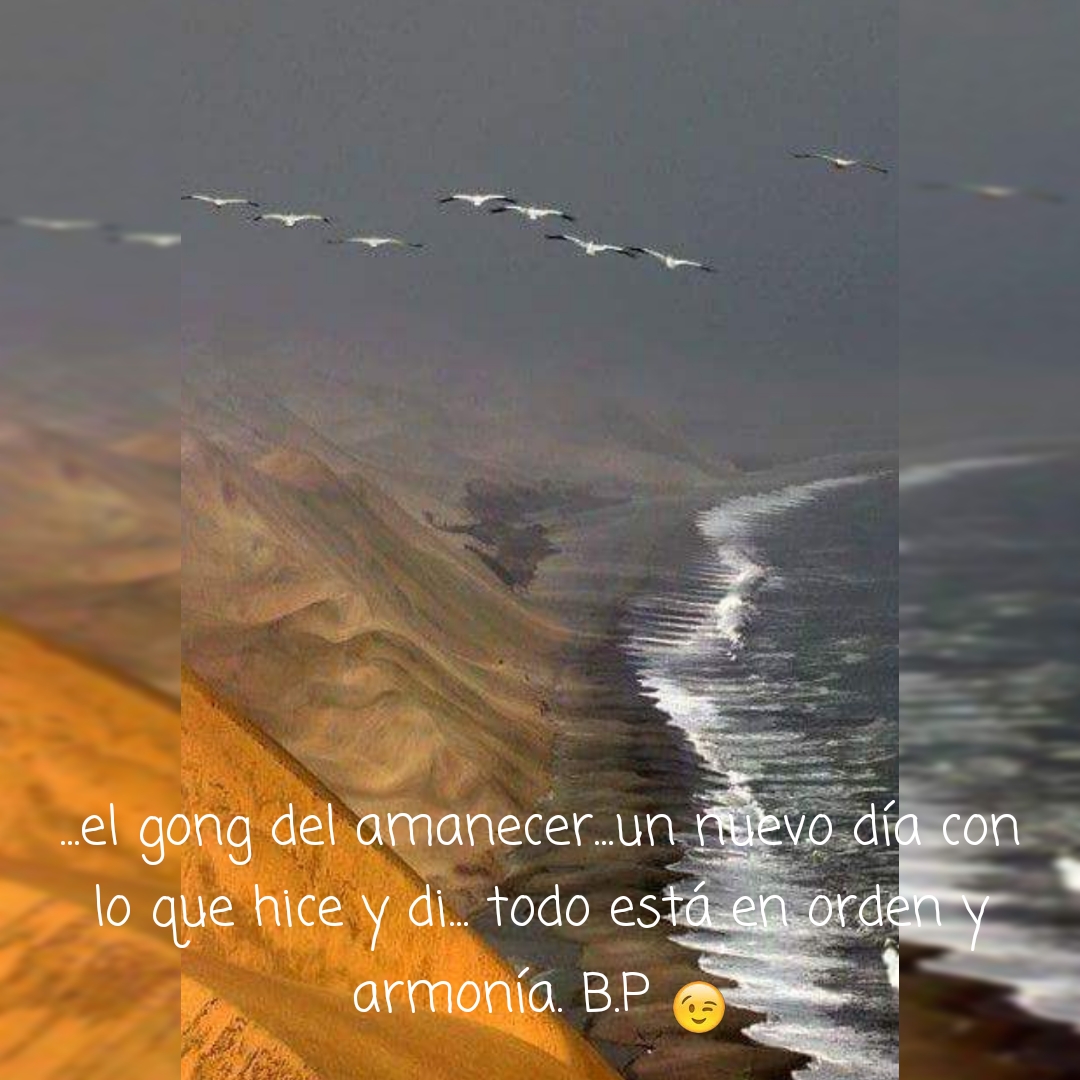El gong