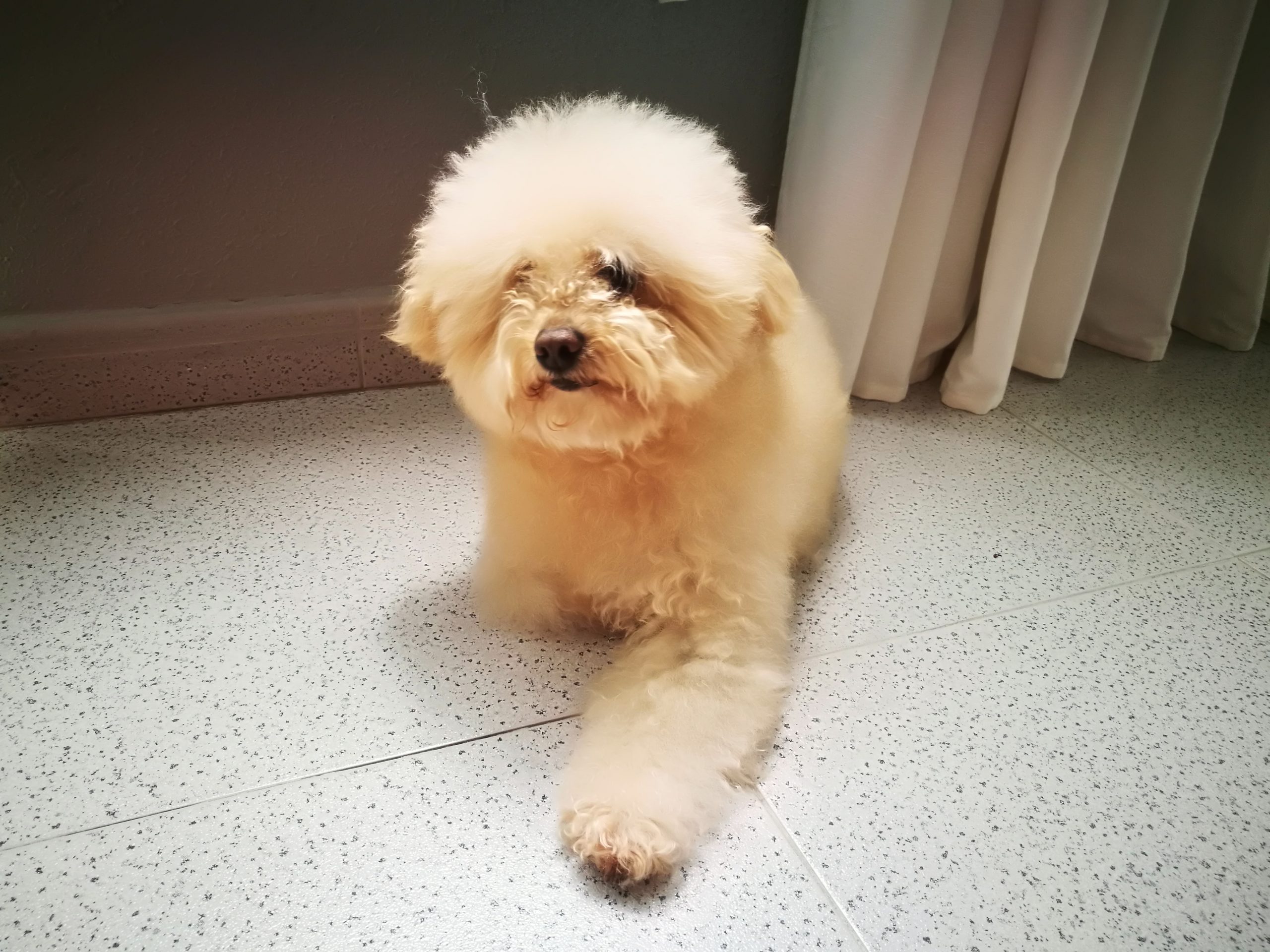 …tiempo con mi peludo…