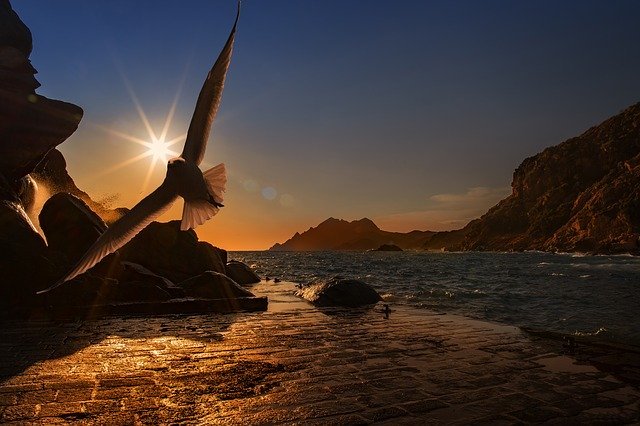 …seguir bailando la vida…