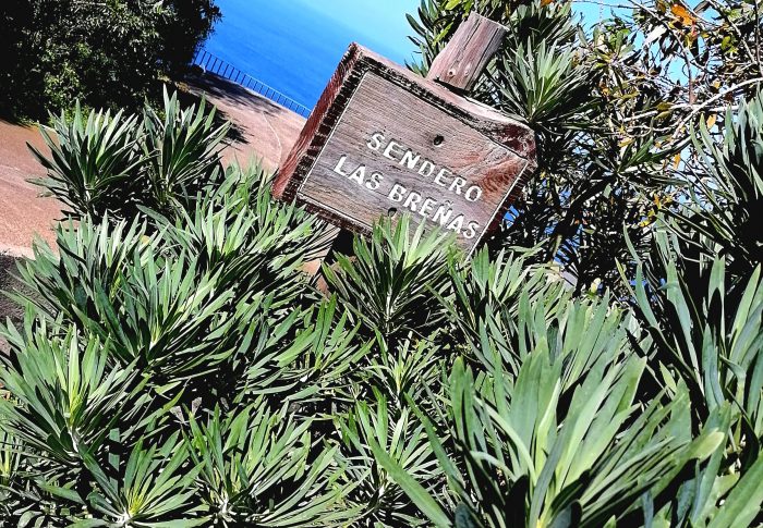Sendero Las Breñas