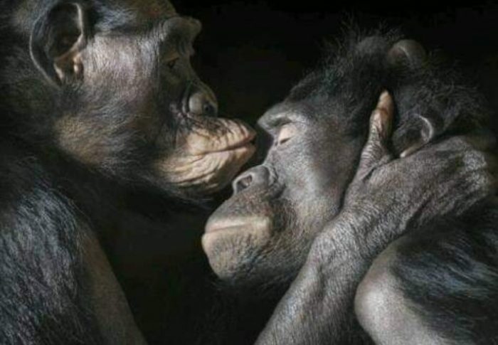 La elección es tuya.
