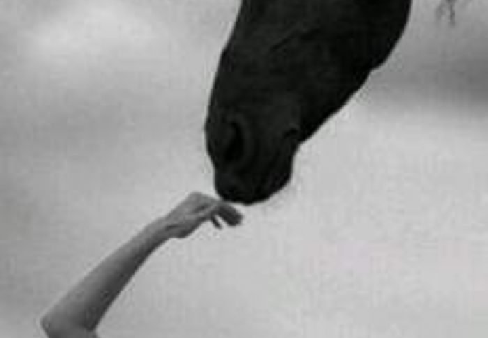 Me gusta