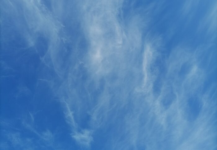 Y vuelo