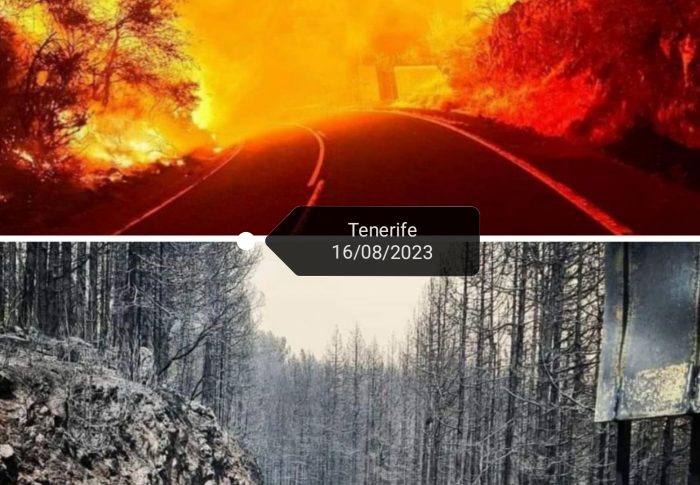 Revivirás y volveré…