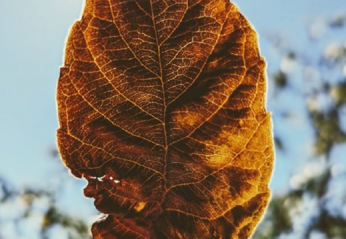 Otoño
