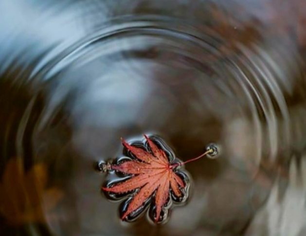 Otoño