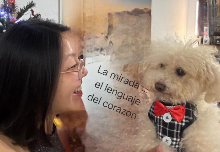 La Mirada…