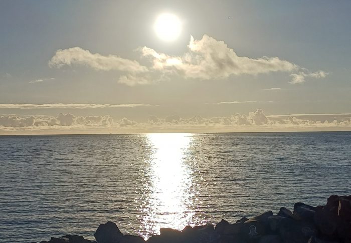 Tú eliges…