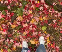 Pisando Otoño